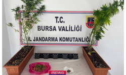 Bursa'da uyuşturucu operasyonu! 3 kişi gözaltına alındı
