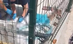 Yarı çıplak sokağa çıkan kadın daha sonra 3. kattan atlayarak hayatını kaybetti