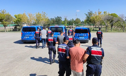 Köpekleri dövüştürüp sosyal medyada paylaştılar, jandarma ekiplerince operasyonla yakalandılar