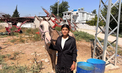 Babasına destek çıkmak için keçi besleyip hayvan ticareti yapmaya başladı