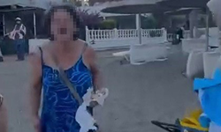 Plaj saldırganı için 3 yıla kadar hapis istemi
