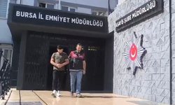 Bursa'da inşaat faresi yakalandı
