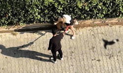 Adana’da kediyi parçalayan pitbullun sahibine 95 bin lira ceza