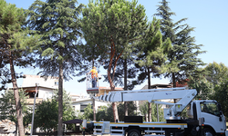 Osmangazi’de yeşil alanlar titizlikle korunuyor