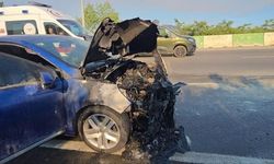 Alev alan otomobil zeytinlik alana sıçramadan söndürüldü