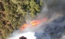 Bursa'da aynı anda 3 noktada yangın