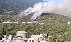 Bursa'daki alevlere havadan müdahale güçlendirildi