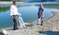 Orhaneli’de göletler sazan yavrularıyla buluştu