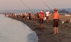 Karacabey sahillerinde istavrit bereketi