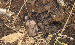 Bursa'da kurtuluş savaşından kalma el bombaları bulundu