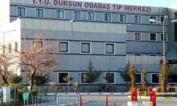 Van Gölü'ne giren kardeşler boğuldu