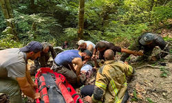 Bursa'da can pazarı! Traktör 50 metrelik uçuruma yuvarlandı