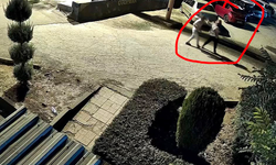 Kucağında çocuğuyla eşinin silahlı saldırısına uğrayan kadın öldü