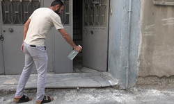 Bursa'da hayvanlara şiddet iddiası: Apartmandan ölü köpek çıktı, mahalleyi pireler bastı