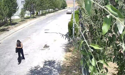 Kendini savcı olarak tanıtan kadının oyununu 8 yaşındaki çocuk bozdu