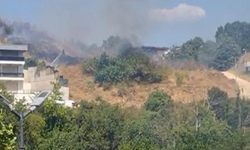 Bursa'da otluk alanda çıkan yangın söndürüldü