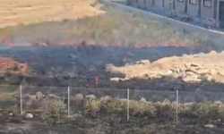 Bursa’da otoban kenarında yangın! Alevler rüzgarla büyüdü