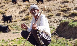 Bursa'dan köyüne döndü, hayvancılıkla geçimini sağlıyor
