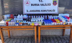Bursa'da kaçakçılık operasyonu: 1,5 milyon TL değerinde veteriner ilacı ele geçirildi
