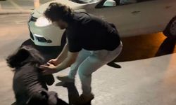 Ters yola girip gazeteci ve polislere hakaret eden şahıslar adliyeye sevk edildi