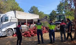 Bursa'da 8 ton midye ele geçirildi