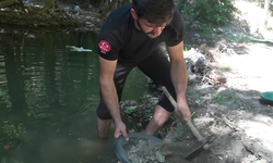 Altın avcısı Türkiye'nin derelerinden her gün 5 gram altın çıkarıyor
