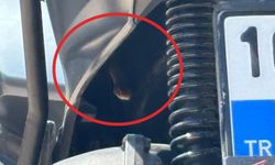 Bursa’da motosikletten çıkan yılan şoke etti