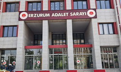 Gülistan Doku soruşturmasında eski komutan yardımcısı ve eşi tutuklandı: Tutuklu sayısı 32 oldu
