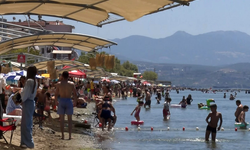 Deniz sezonunun bitmesine yakın Bursa'nın sahillerinden sevindiren haber