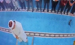 Bir yanda namaz kıldı, diğer yanda kediye tekme attı