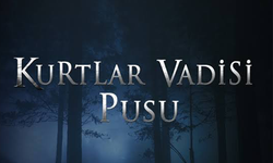 'Kurtlar Vadisi Pusu' dizisine inceleme başlatıldı