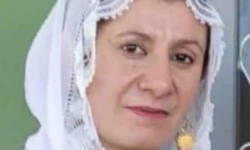 Mardin'de 4 çocuk annesi kadın, halı yıkarken akıma kapılıp öldü