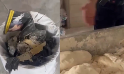 İnsan sağlığını hiçe saydılar! Fırında mide bulandıran görüntüler: Hamam böceği, izmarit...
