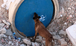 İnegöl'de K9'lara hayat kurtaran eğitim
