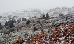Bursa İnegöl'e mevsimin ilk karı düştü