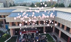Bursa'da meme kanserine karşı gökyüzü pembeye boyandı