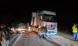 Tır ile kamyonet kafa kafaya çarpıştı: 2 ağır yaralı