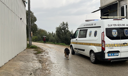 Bursa'da ATV bir anda tarlaya uçtu