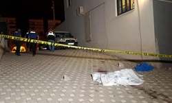 Sevgilisinin eski eşiyle karşılaşmamak için pencereden inmeye çalıştı, canından oldu
