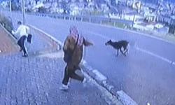 Bursa’da köpekten kaçarken yüksekten atladı, bacağı kırıldı!