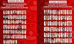 İçişleri Bakanlığı: "Kırmızı bültenle aranan 33, ulusal seviyede aranan 30 suçlu ülkemize geri getirildi"