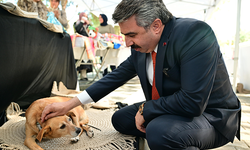 Yıldırım’da ‘Sevimli Patilerle Şenlik Zamanı’