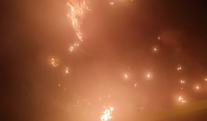 Karacabey’de ormanlık alanda yangın paniği
