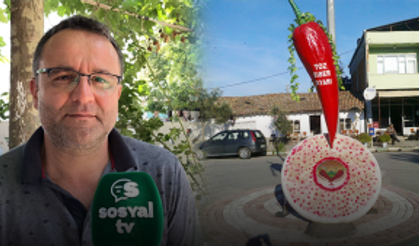 Dünyaca ünlü, biberler burada yetişiyor