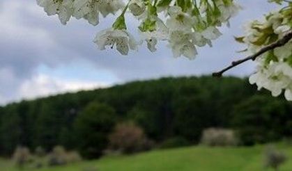 Bursa'da Kocayayla'dan bahar manzaraları