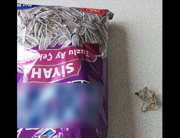 Ünlü marketten alınan kavrulmuş çekirdek paketinden fare çıktı! Sosyal medyada gündem oldu