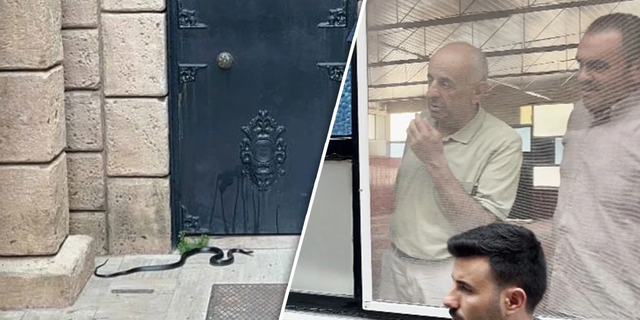 Namaza giden cemaate yılan şoku!