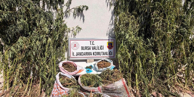 Bursa’da jandarmadan zehir tacirlerine darbe