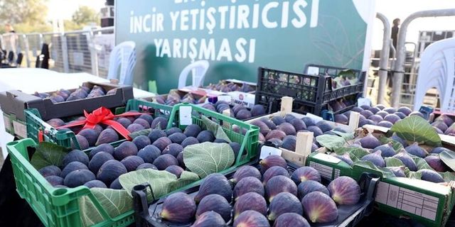 12. Akçalar Fadıllı İncir Festivali 13 Eylül’de Akçalar Göl Kıyısı’nda