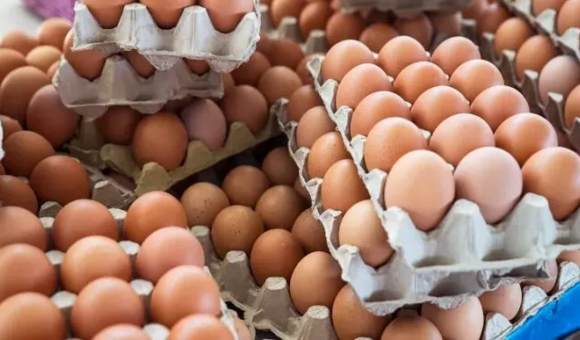 Yumurta fiyatları artmaya devam edecek